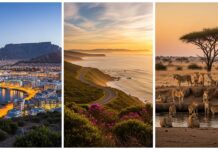 South Africa: A World in One Country 🇿🇦